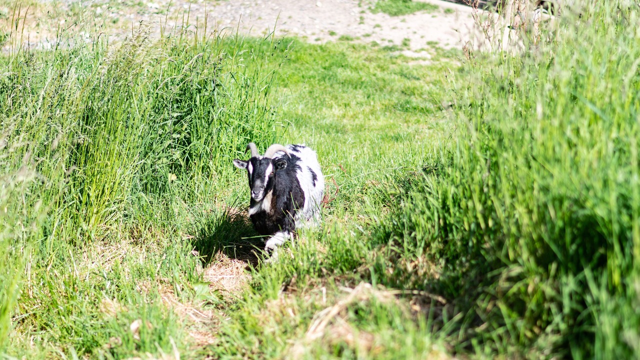 Photo of Outdoor in Honfleur