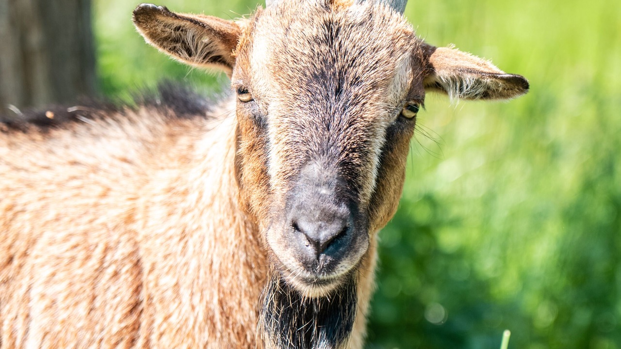 Photo of Outdoor in Honfleur