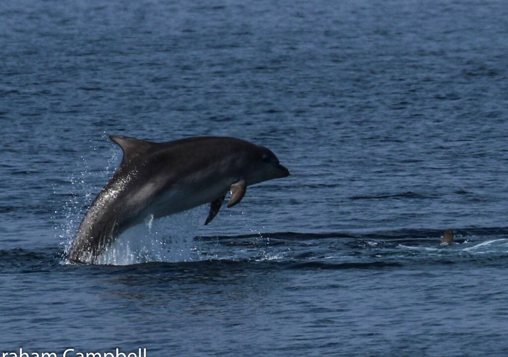 Photo of Others in Buckie