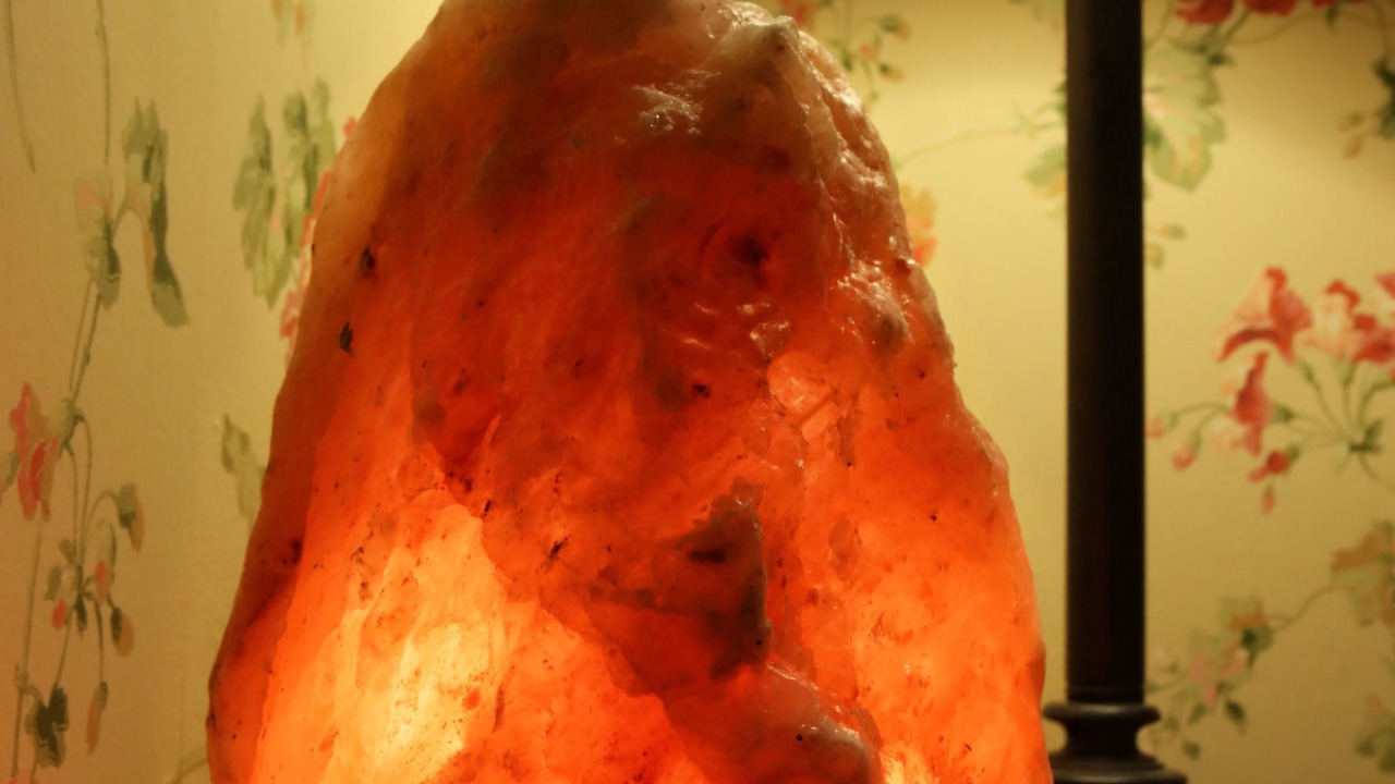 Photo of Others in Willow Street