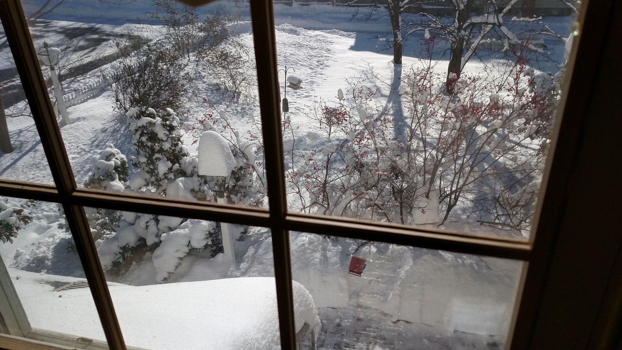 Photo of Others in Willow Street