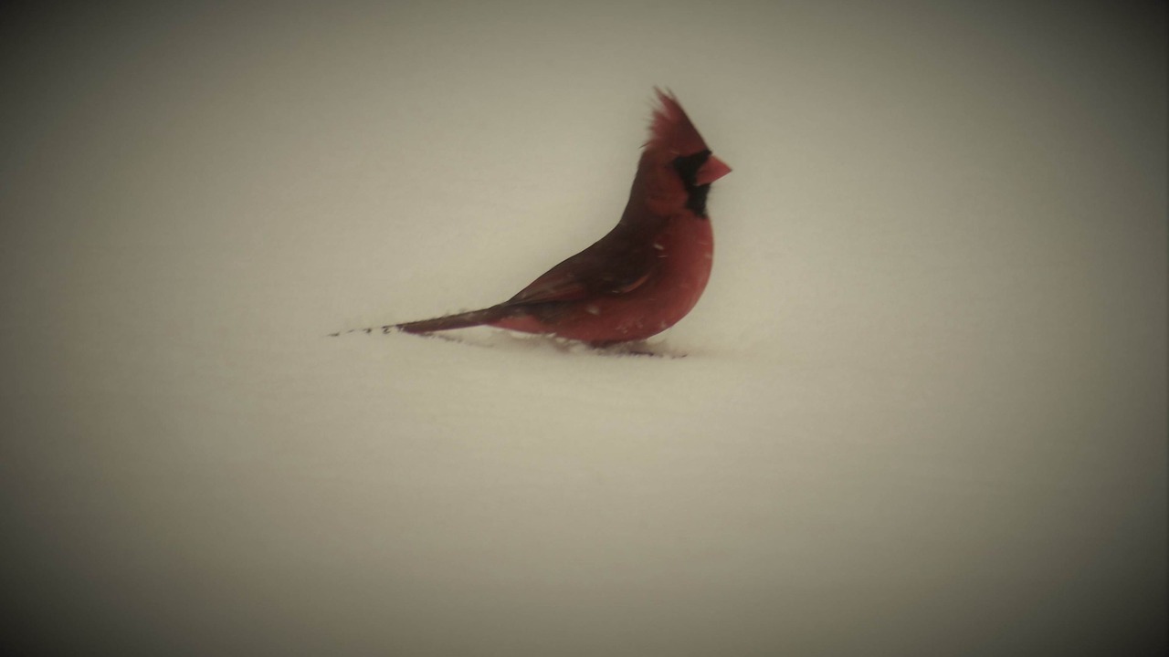 Photo of Outdoor in Willow Street