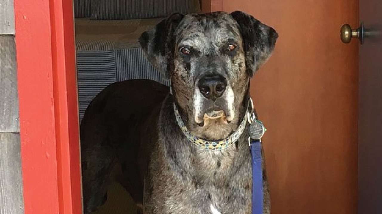 Photo of Outdoor in Pacific City