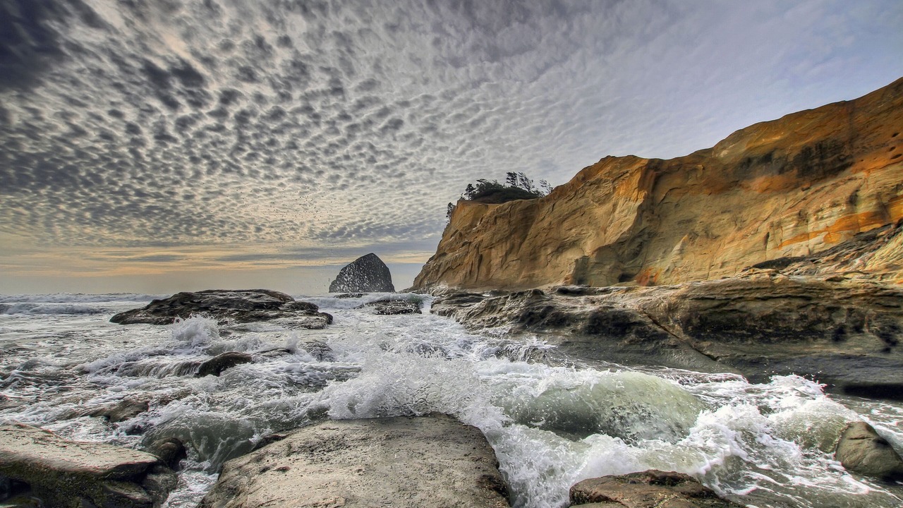 Photo of Others in Pacific City