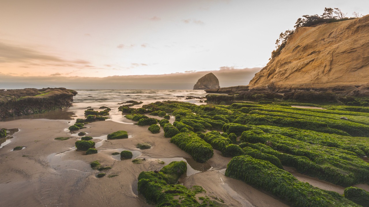 Photo of Others in Pacific City