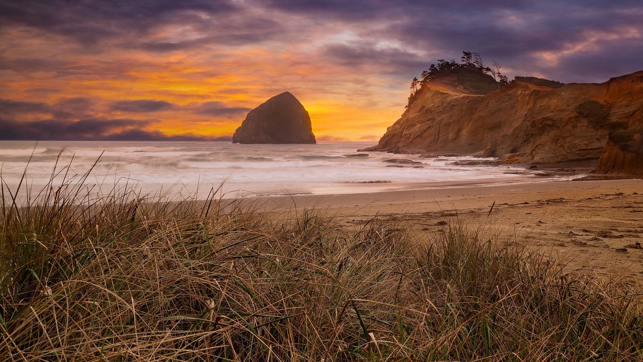 Photo of Others in Pacific City