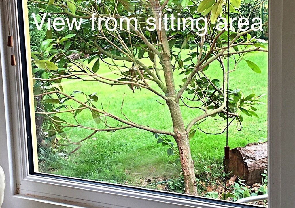 Photo of Outdoor in March