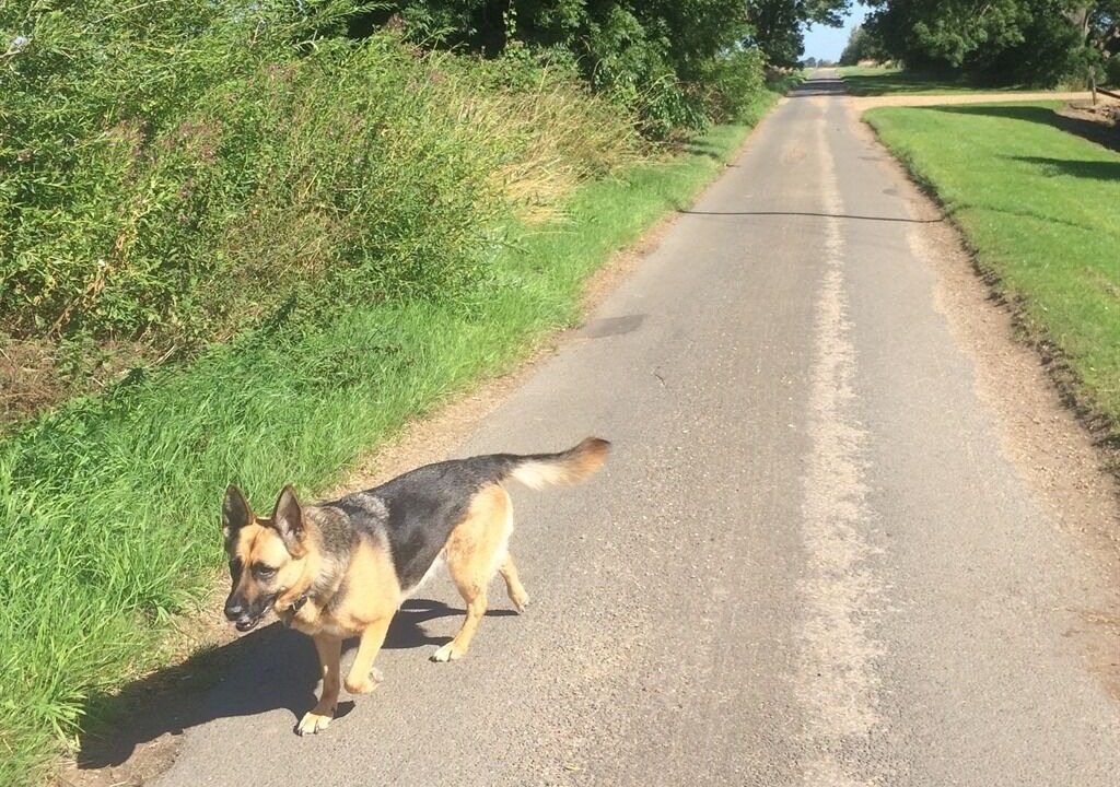 Photo of Others in March