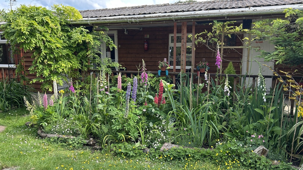 Photo of Outdoor in March