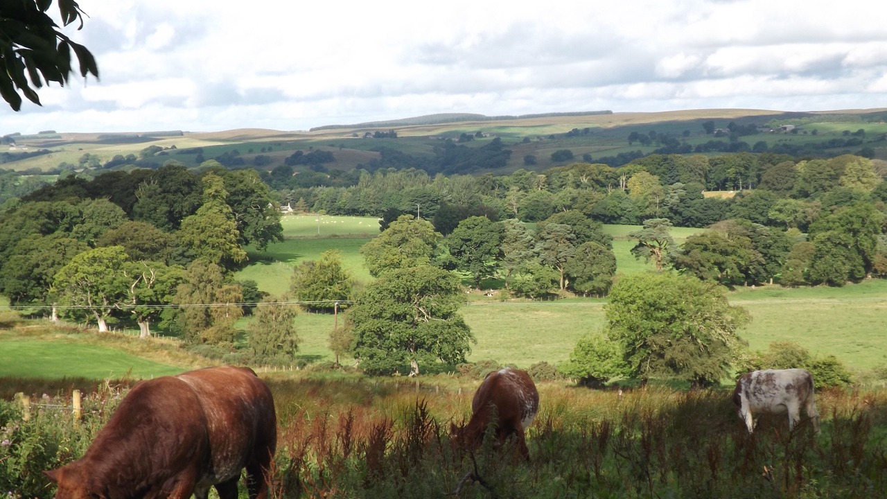 Photo of Outdoor in Haltwhistle