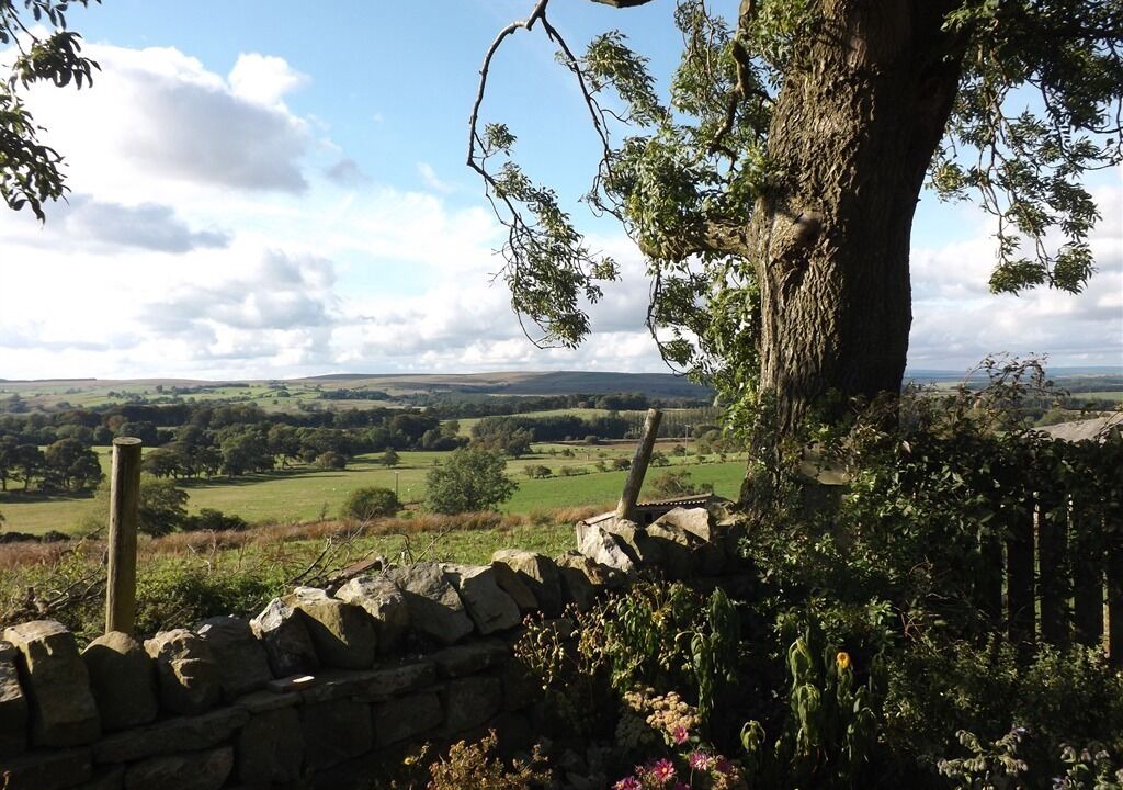 Photo of Others in Haltwhistle