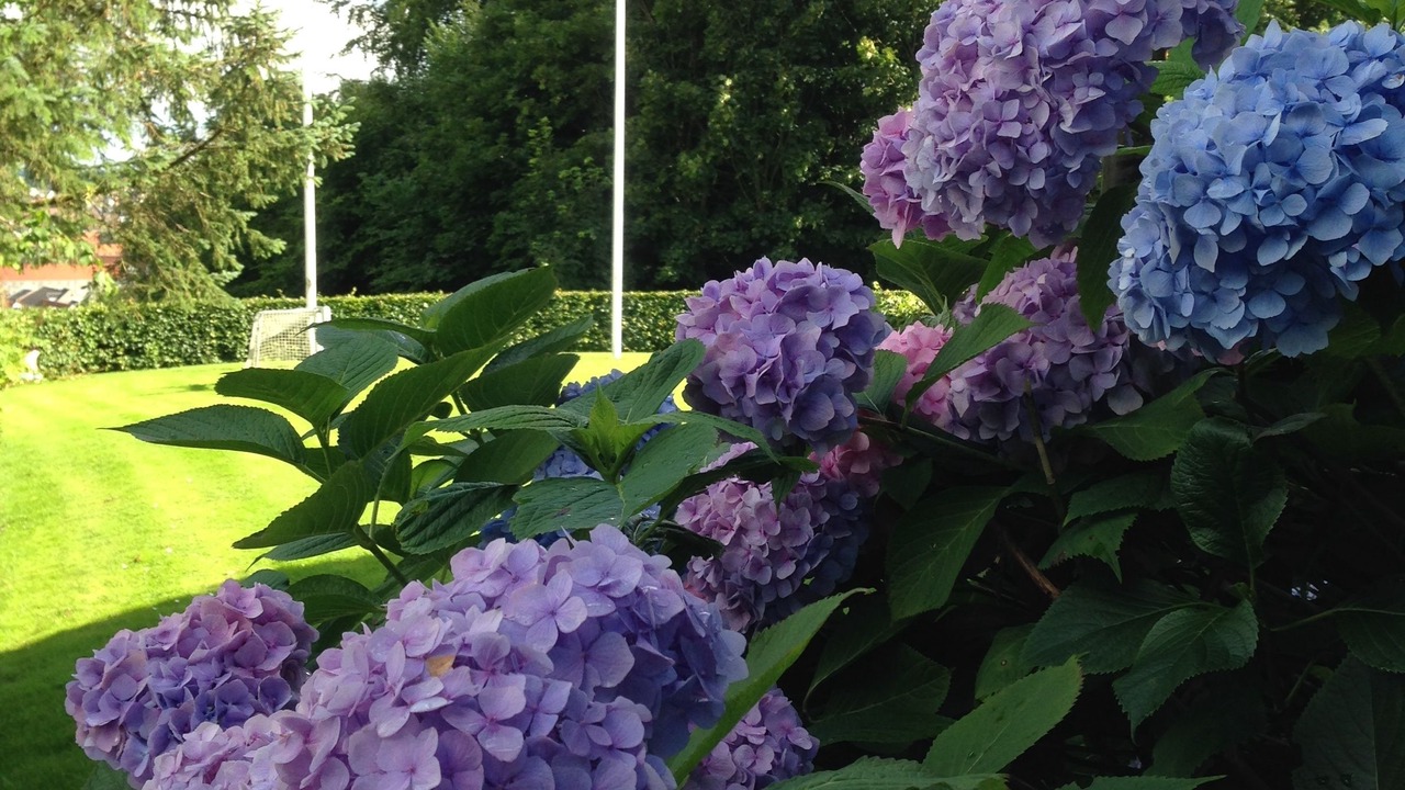 Photo of Outdoor in Kolding