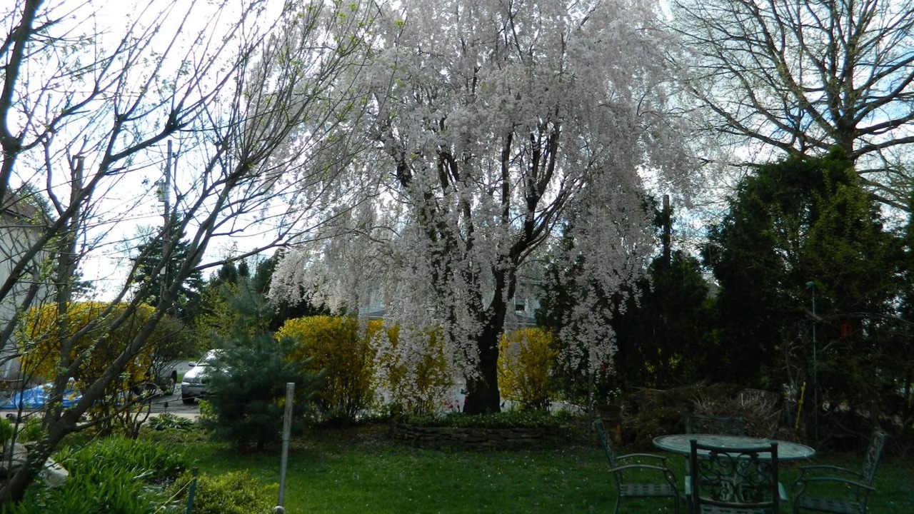 Photo of Outdoor in Neffsville