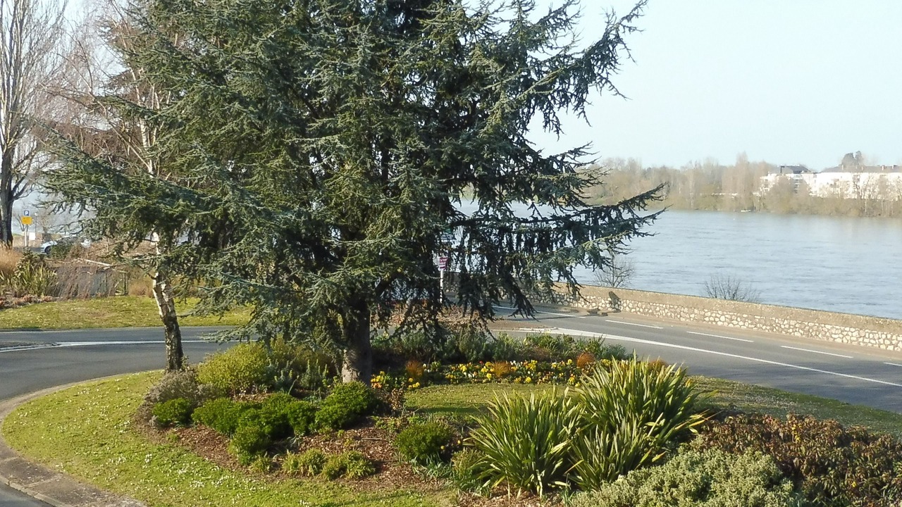 Photo of Outdoor in Saumur
