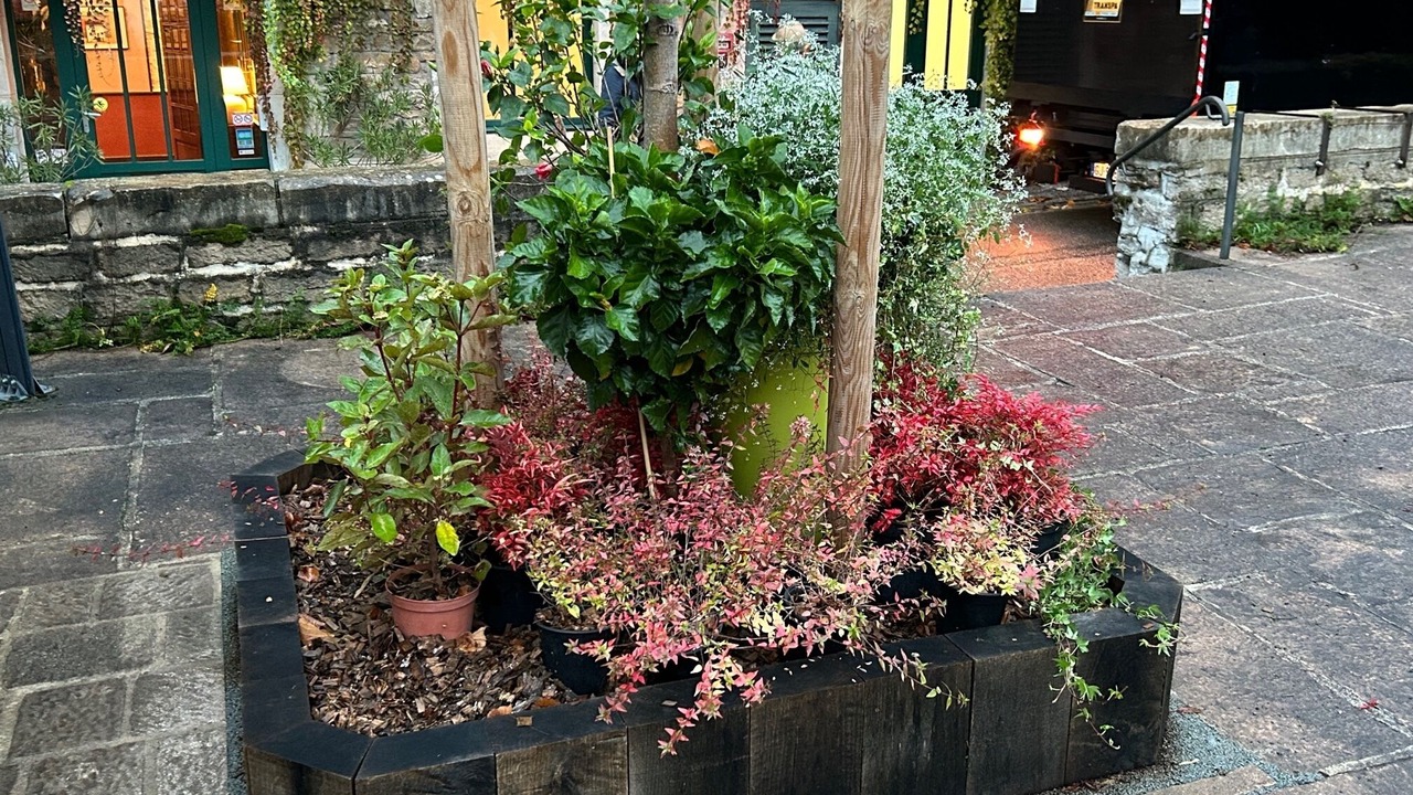 Photo of Buildings in Arbois