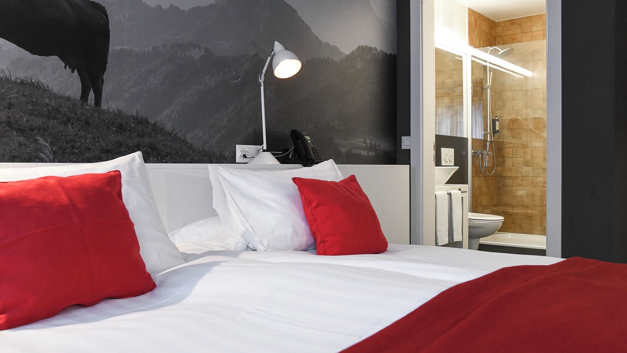 Photo of Bedroom in Plainpalais