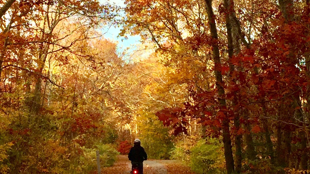 Photo of Others in Falmouth