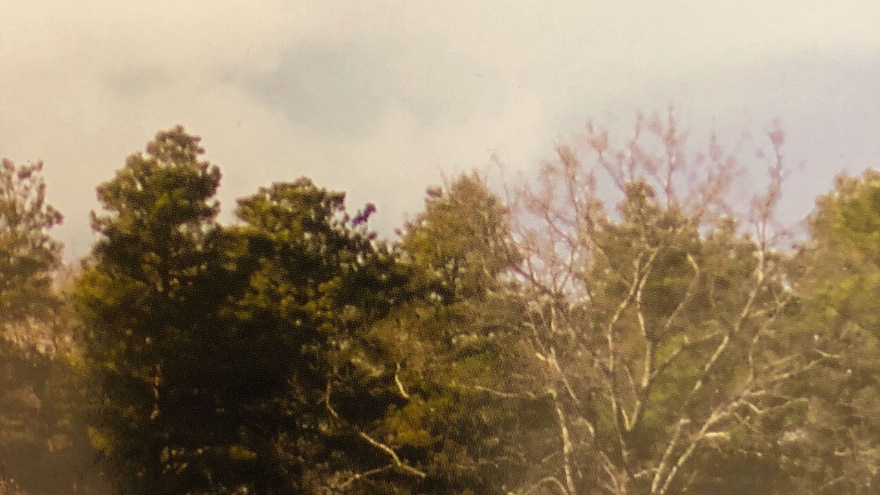 Photo of Others in Falmouth