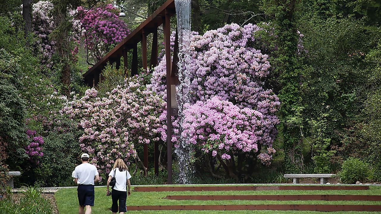 Photo of Others in Falmouth