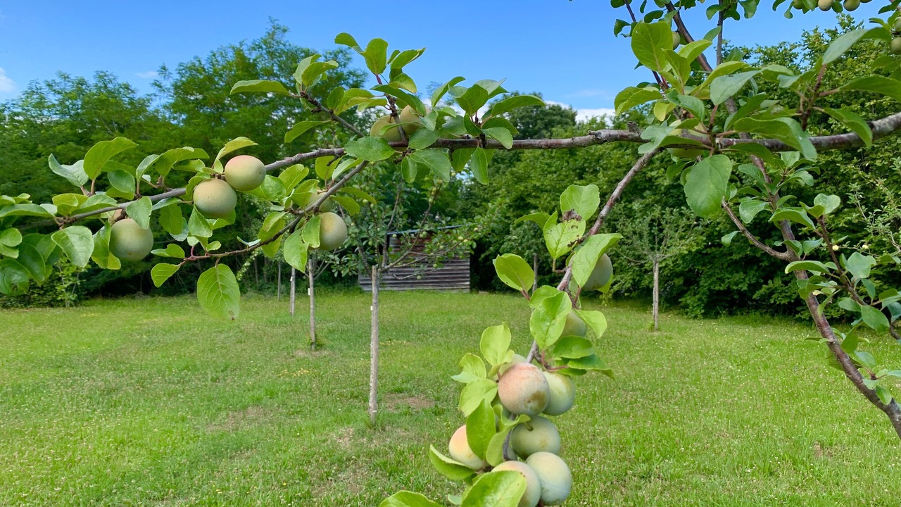 Photo of Outdoor in Saint-Pantaleon-de-Larche