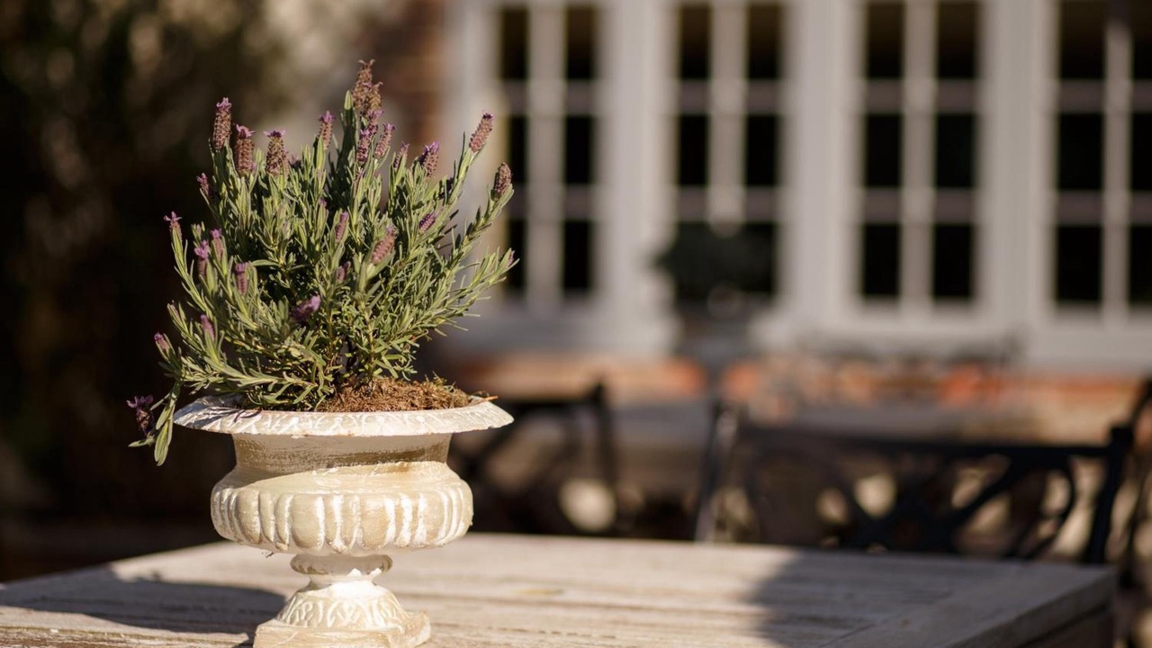 Photo of Others in South Harting