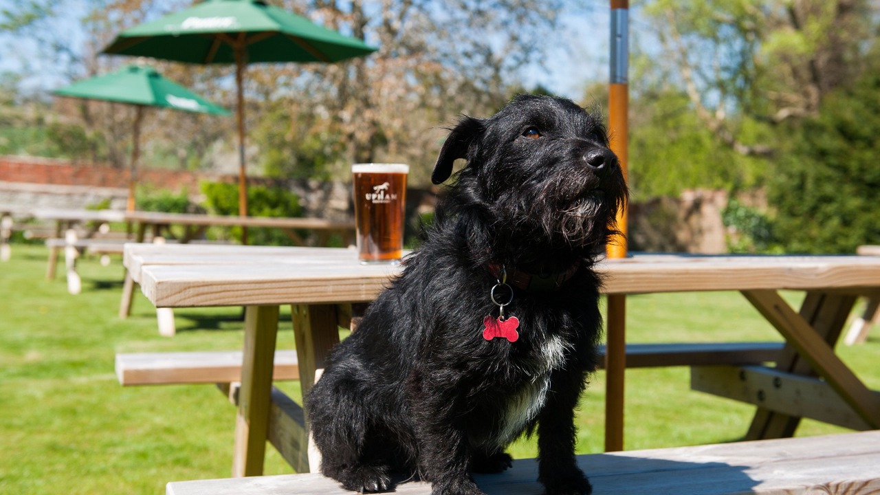 Photo of Outdoor in South Harting