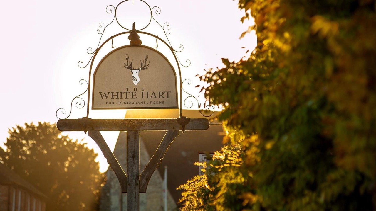 Photo of Outdoor in South Harting