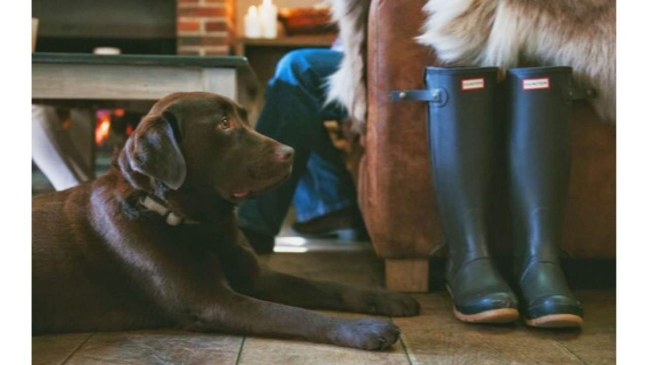 Photo of Others in Ashmore Green