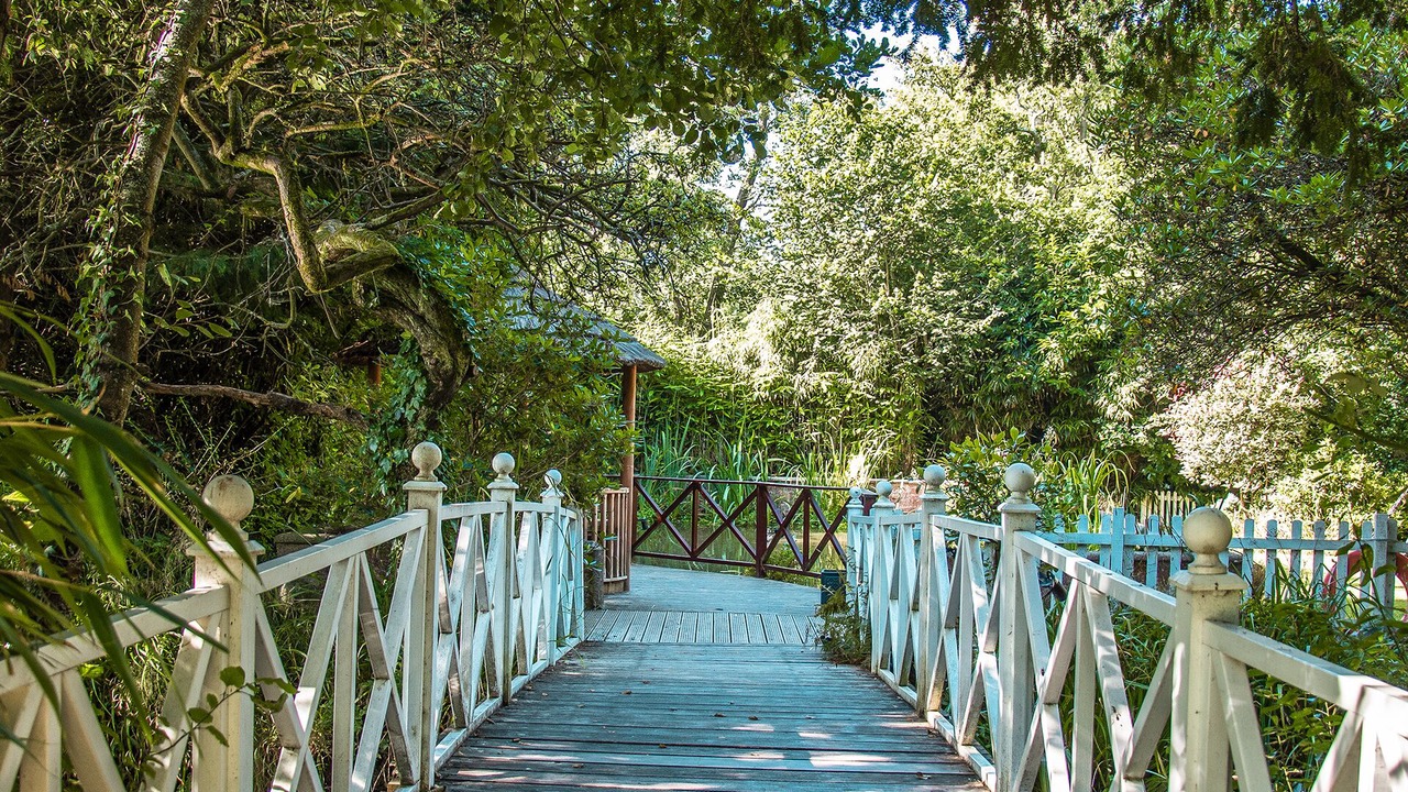 Photo of Outdoor in New Forest District