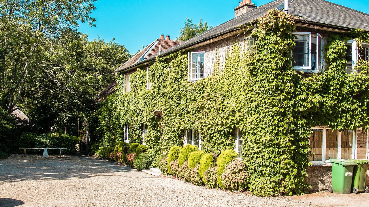 Photo of Outdoor in New Forest District