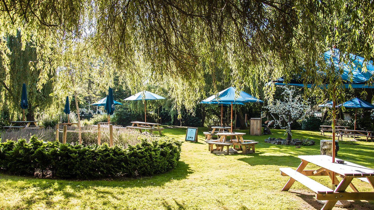 Photo of Outdoor in New Forest District