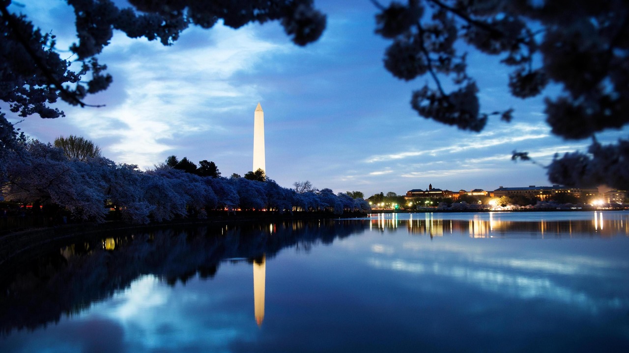 Photo of Others in Downtown Washington D.C.