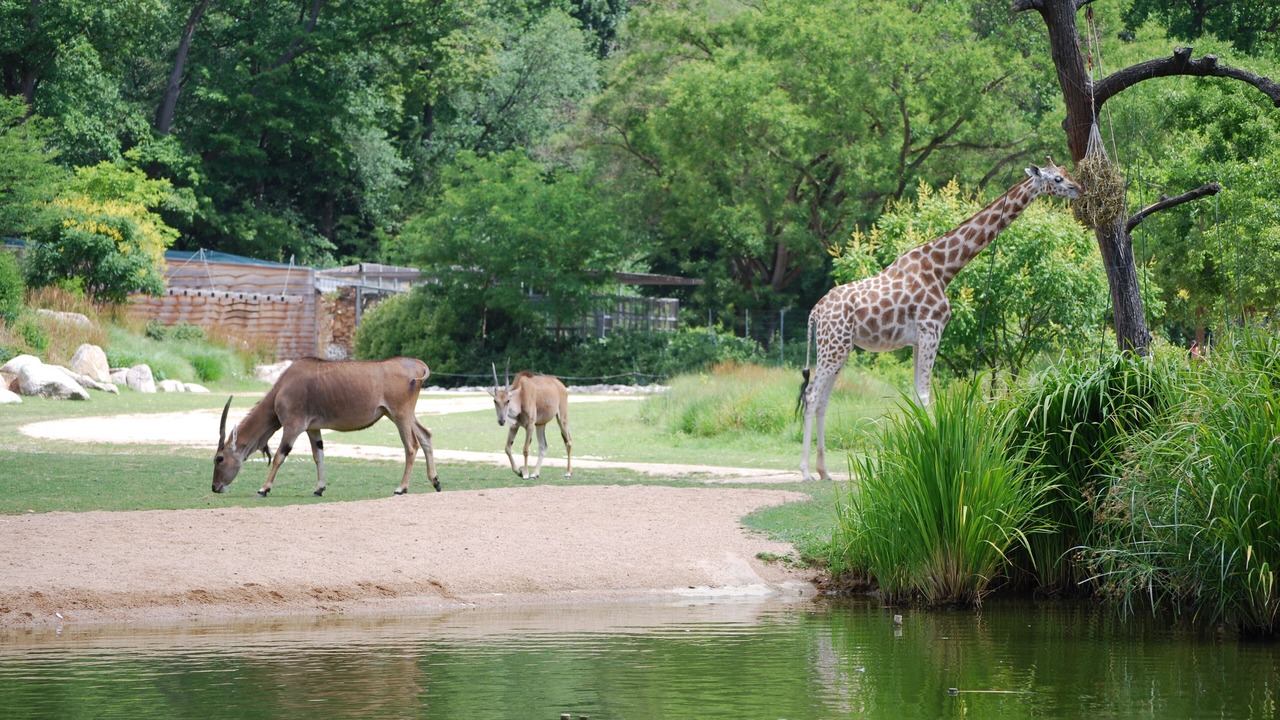 Photo of Others in Solaize