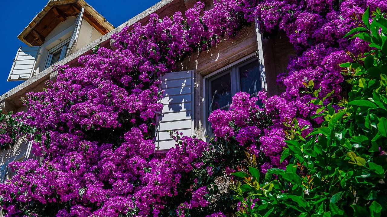Photo of Outdoor in Sutivan