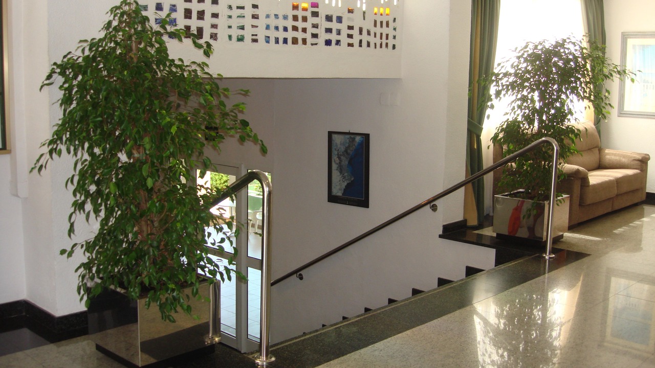 Photo of Others in Javea
