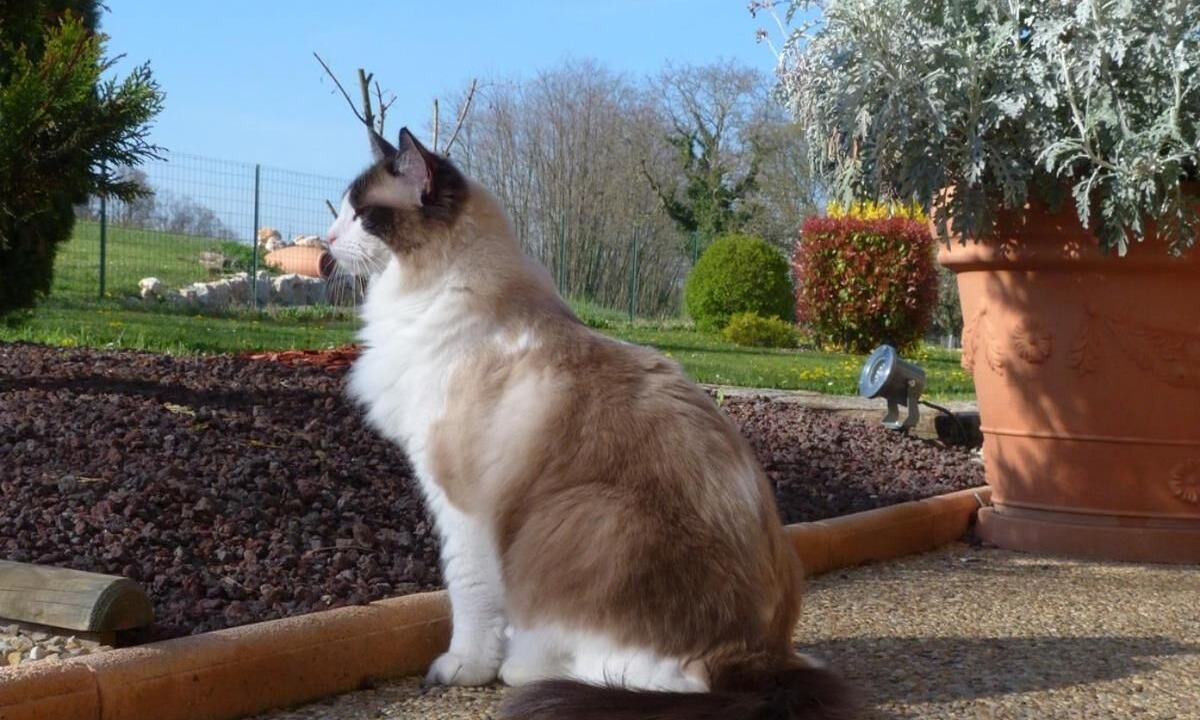 Photo of Outdoor in Tournus