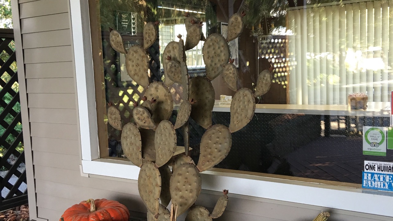 Photo of Outdoor in Alma