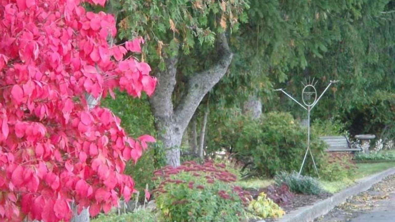 Photo of Outdoor in Alma