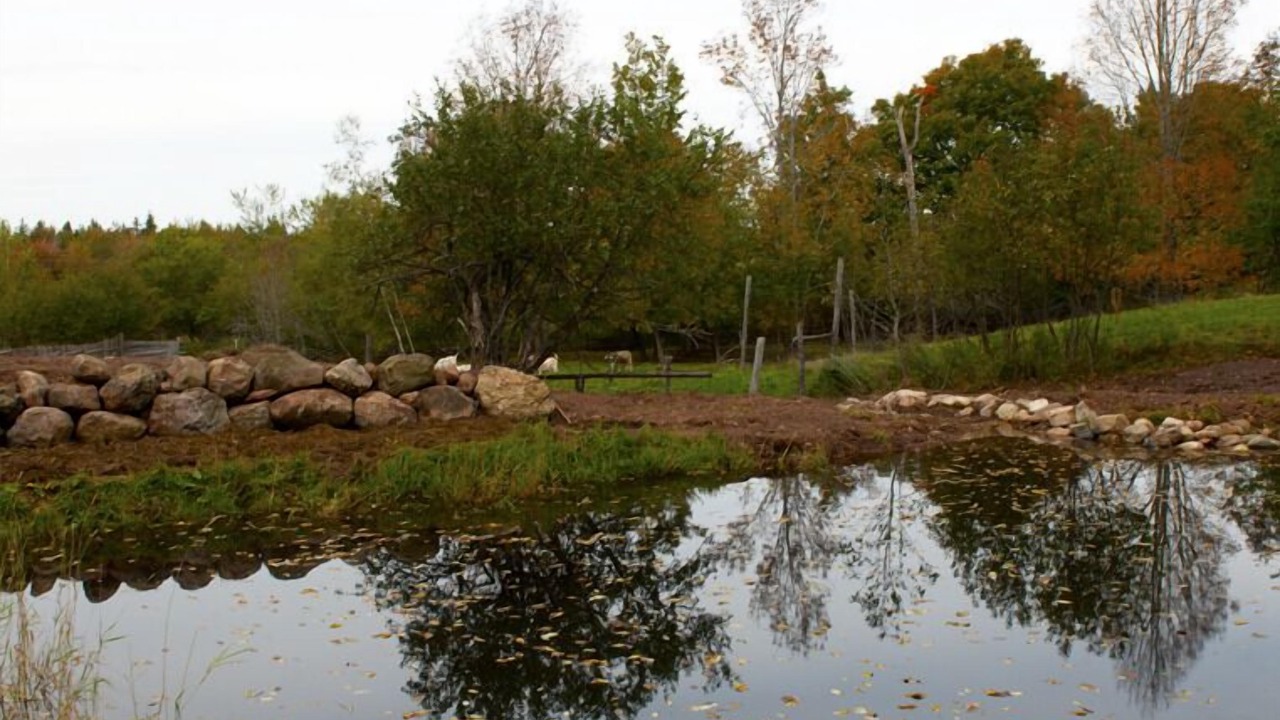 Photo of Outdoor in Balmoral Mills