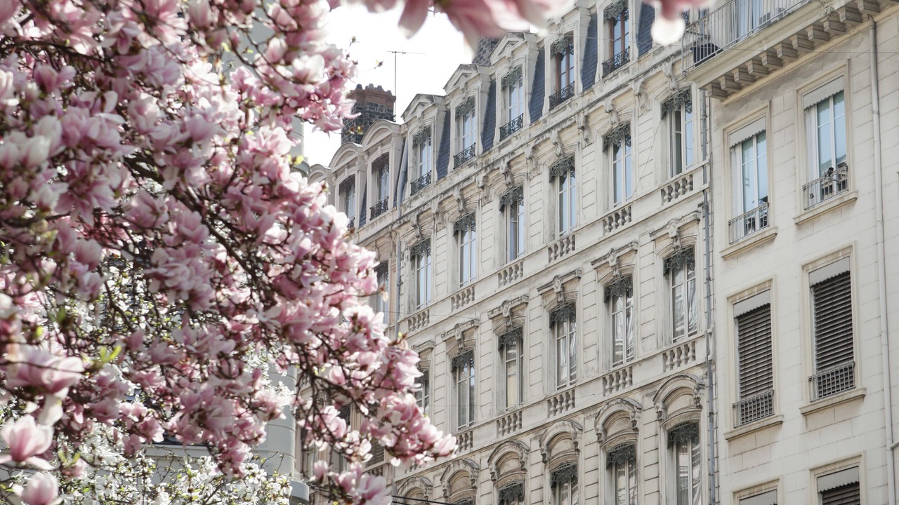 Photo of Outdoor in Bellecour - Hotel Dieu