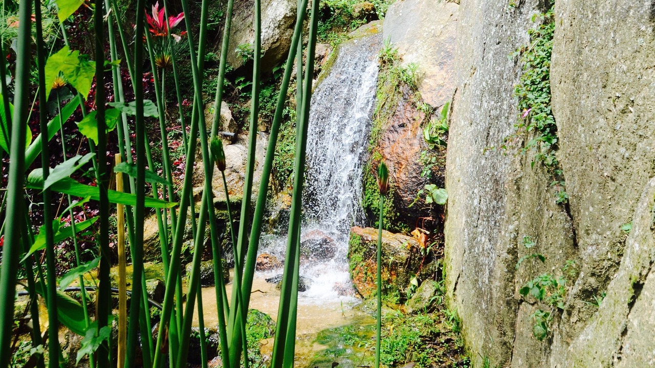 Photo of Outdoor in Lojing