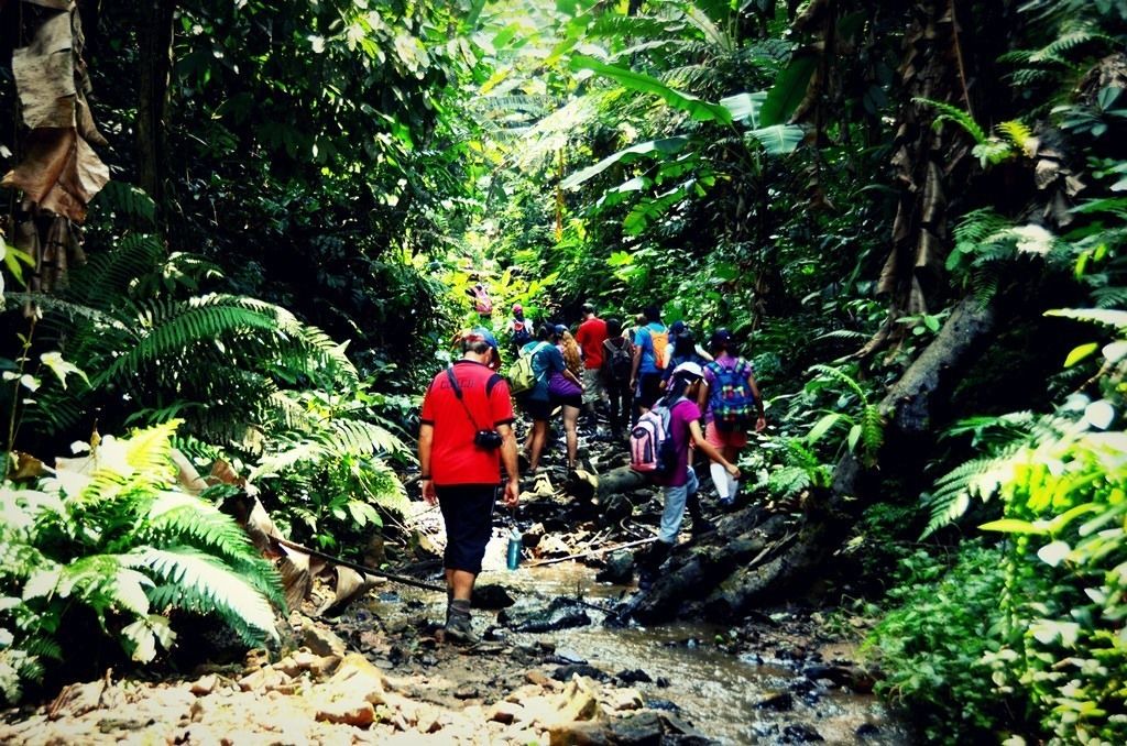 Photo of Outdoor in Lojing