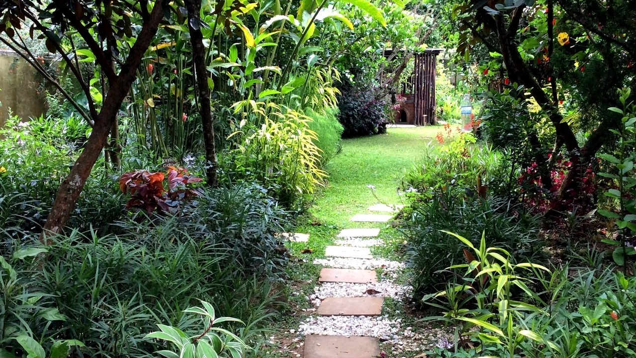 Photo of Outdoor in Lojing