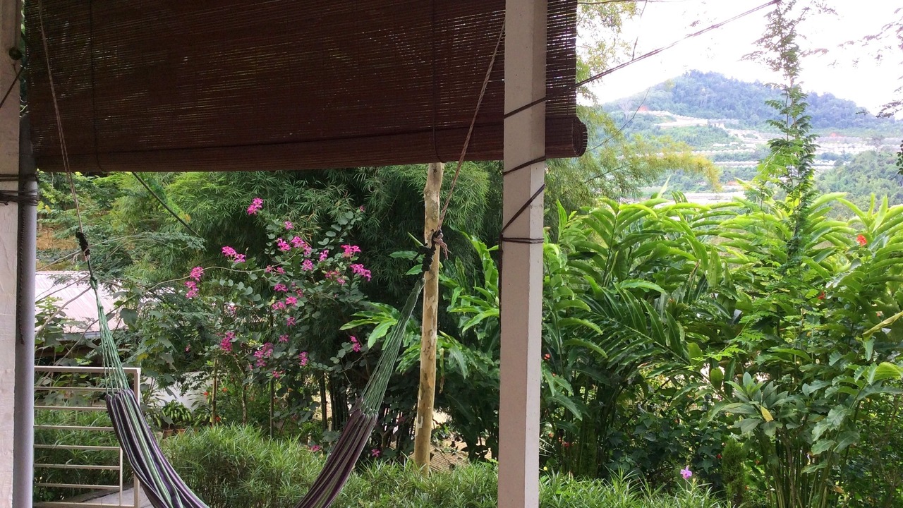 Photo of Others in Lojing