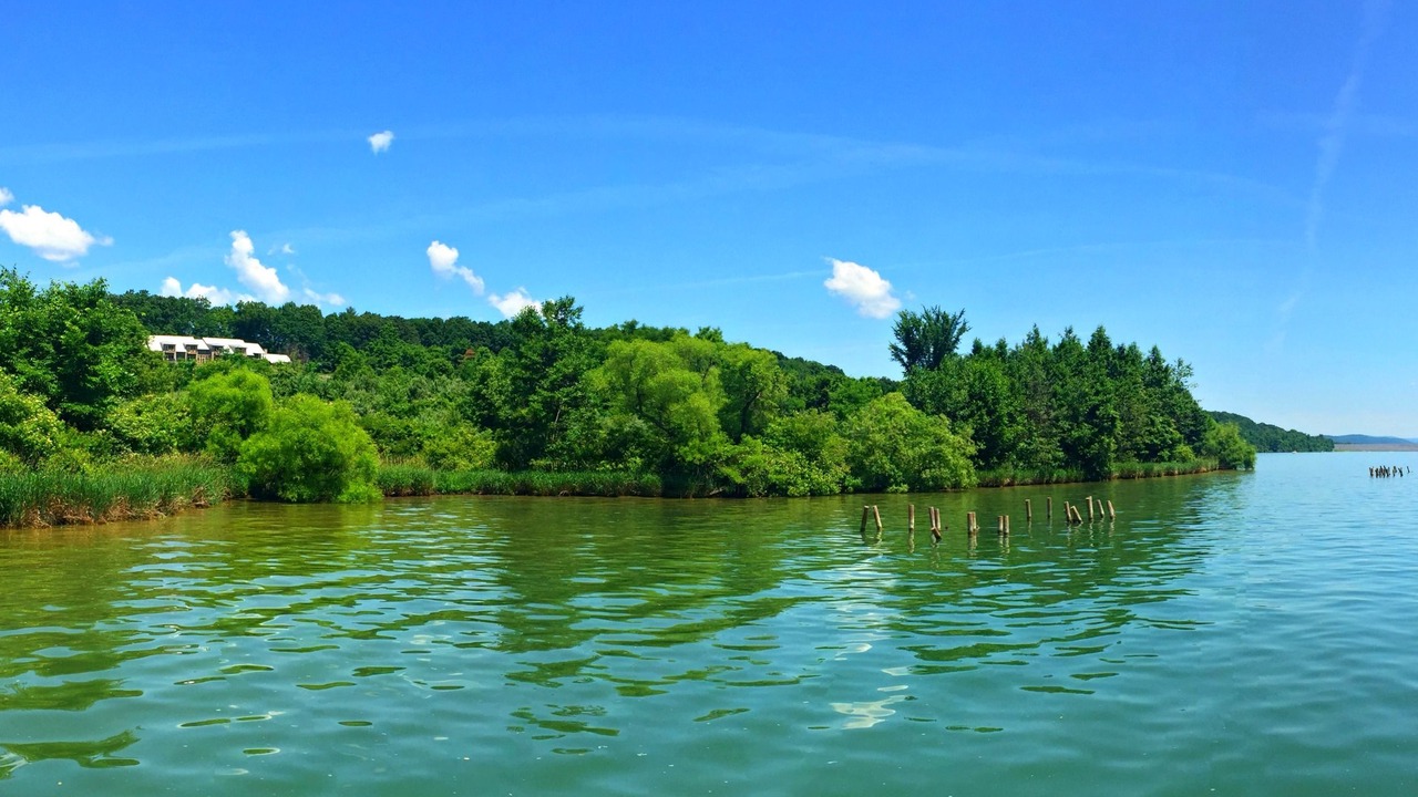 Photo of Outdoor in Howard