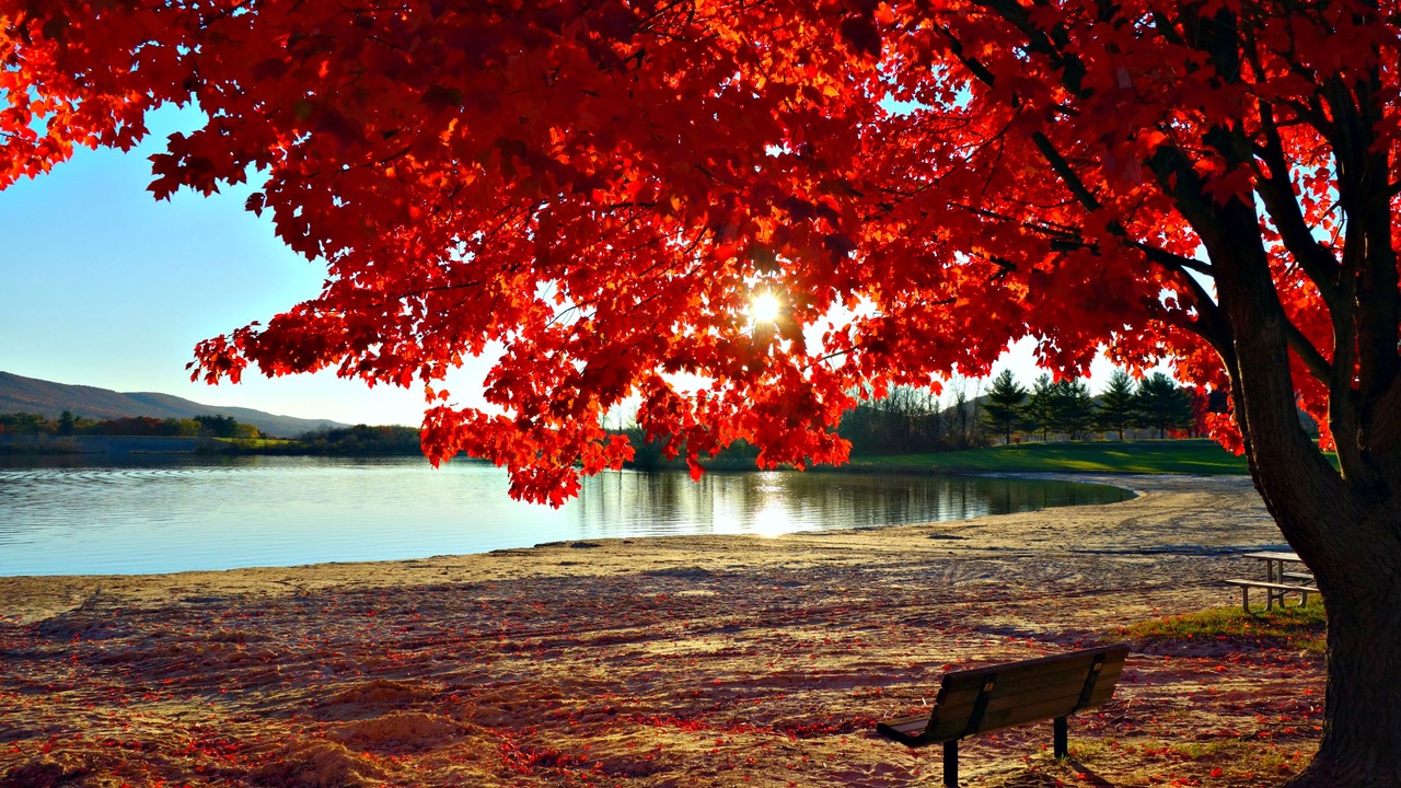 Photo of Others in Howard