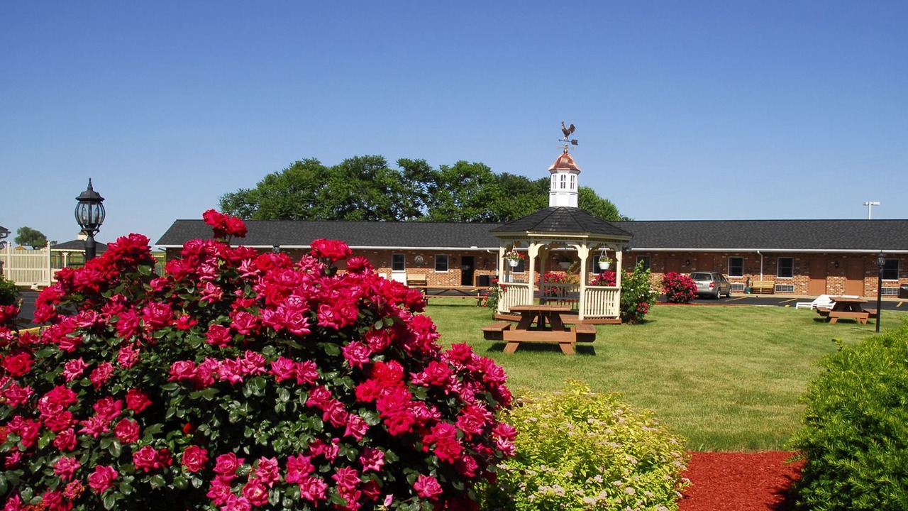 Photo of Outdoor in Witmer