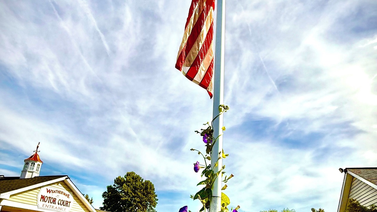 Photo of Outdoor in Witmer