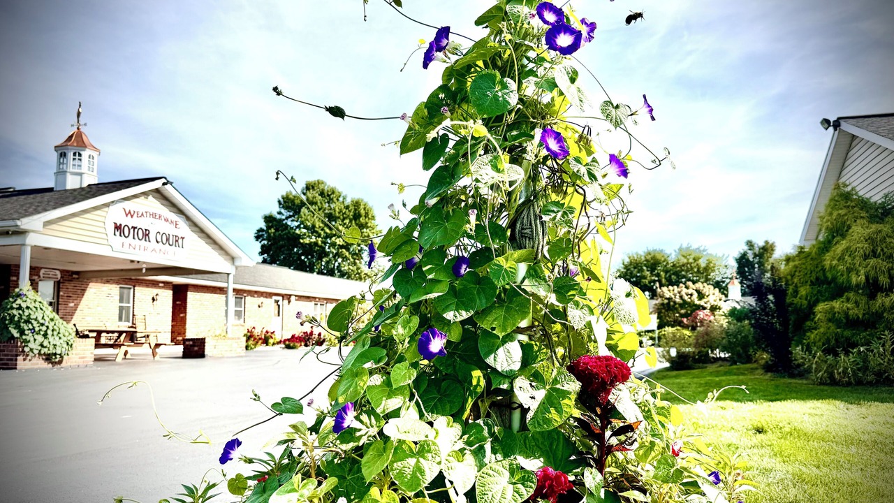 Photo of Outdoor in Witmer