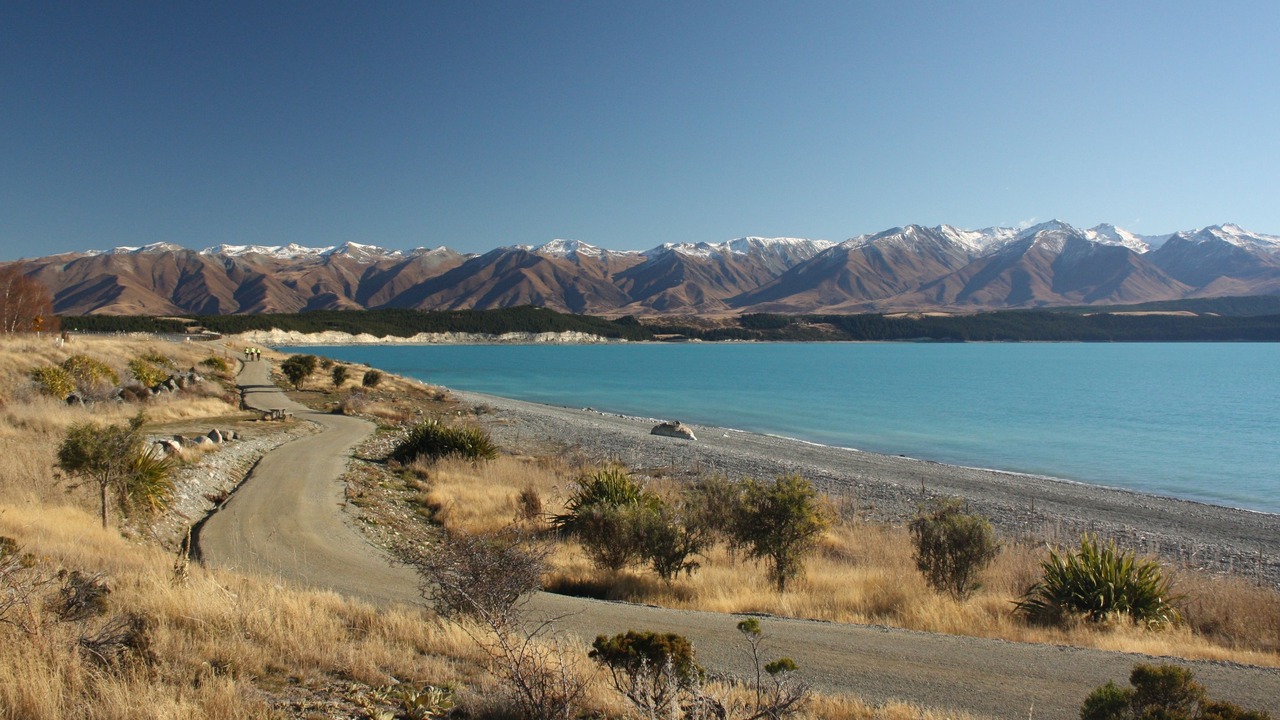 Photo of Others in Pukaki